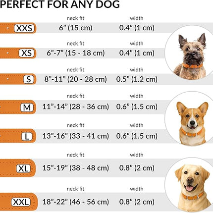 CollarDirect Rolled Leather Dog Collar, Soft Padded Round Puppy Collar, Handmade Genuine Leather Collar Dog Small Large Cat Collars 13 Colors (11-14 Inch, Orange Textured)
