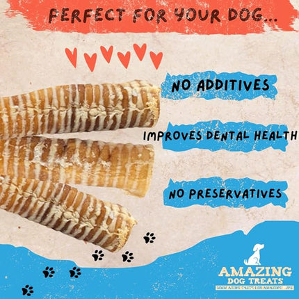 Amazing Dog Treats - 12 Inch Beef Trachea Chews for Dogs (10 pcs/pk) - 100% Natural Trachea Dog Treats - Excellent Source of Glucosamine - Natural Long Lasting Treats