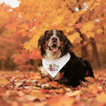 Big Sister Pregnancy Announcement Dog Bandana, Gender Reveal Photo Prop Pet Scarf Decorations Accessories, Pet Scarves Dog Lovers Owner Gift