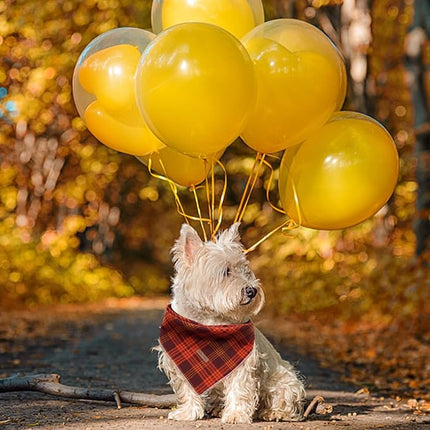 Lionheart glory Dog Bandana 1 Pack Washable Soft Plaid Dog Scarf, Fall Bib Scarf Boy Girl Bandana Square Adjustable Dog Bandanas for Small to Large Dog