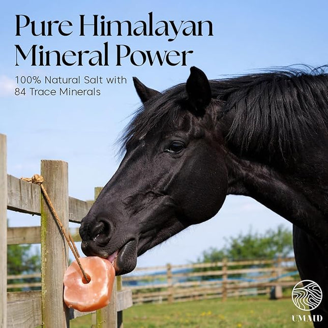 UMAID Himalayan Salt Lick 3 lbs On Rope for Horse, Deer, Goat, and Livestock Animals - Himalayan Salt Block 6 Pack