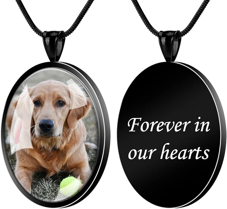 Farfume Personalized Pet Urn Necklace for Dog Cat Ashes Cremation Pet Memorial Customized Photo Text Engraving Pendant Keepsake Funeral Jewelry