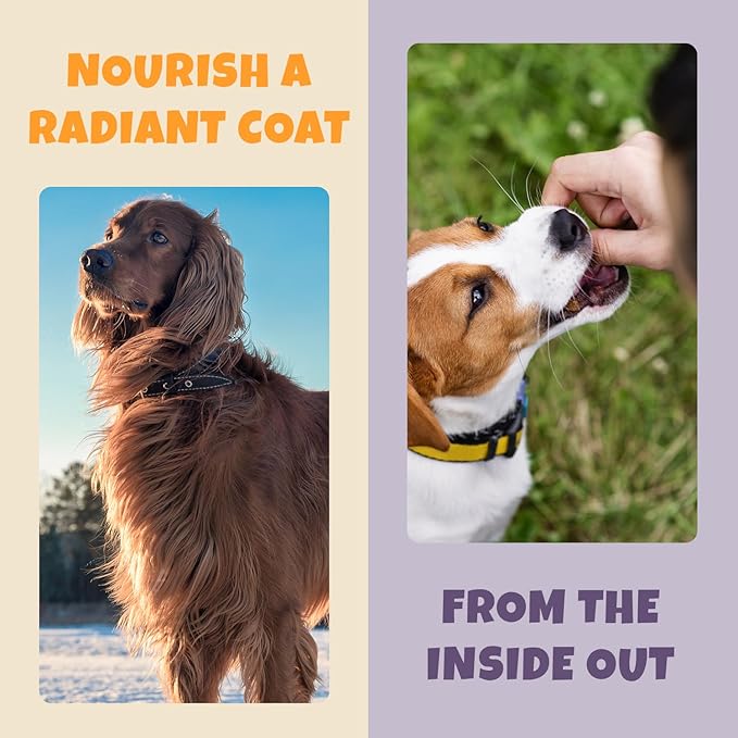 Petipet Omega 3 for Dogs - Skin, Coat, Brain & Heart Health Supplement- For Dry, Itchy, or Flaky Skin - Allergies and Itch Relief Soft & Chewy Chews - DHA and EPA Omega 3 Fatty Acids from Marine Algae