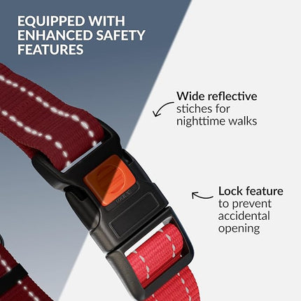 CollarDirect Martingale Dog Collar with Stainless Steel Chain and Quick Release Buckle - Reflective Collar for Large, Medium, Small Dogs - Red, Large (Neck Size 17"-22")