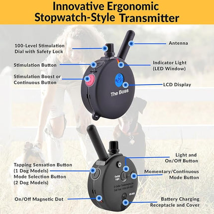 Educator E-Collar Humane Dog Training Collar with Remote, 100 Safe Tapping Stimulation Levels, Night Light, Waterproof, Rechargeable, 1 Mile 2 Large Dogs, Black