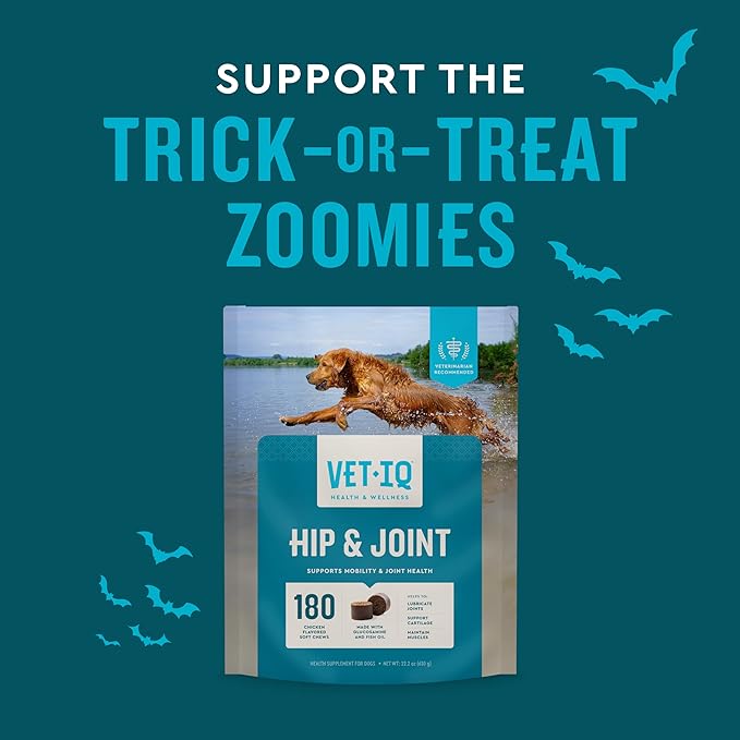 VetIQ Glucosamine Hip & Joint Supplement for Dogs, 60 Soft Chews, Joint Support Supplement with MSM and Krill, Dog Health Supplies Large & Small Breed, Chicken Flavored Chewables