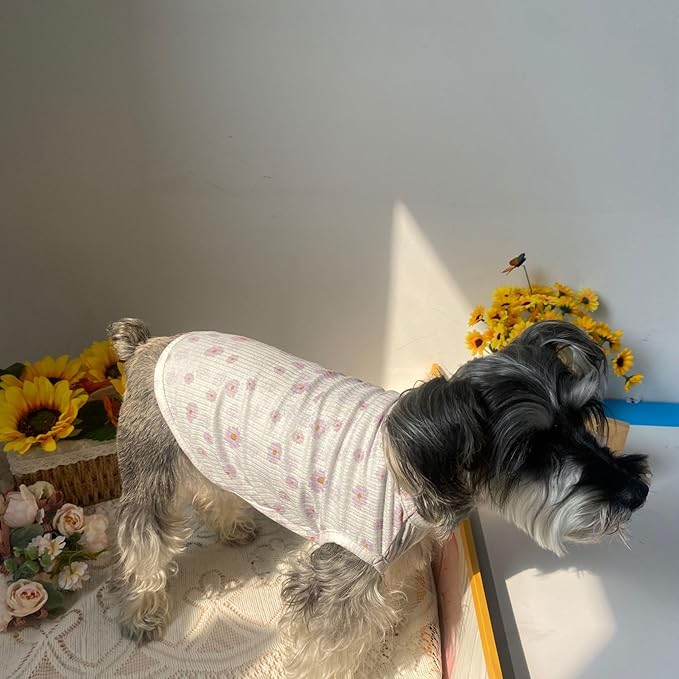 2PCS Summer Dog Cotton T Shirt Pet Tee Shirts Puppy Daisy Flower Prints Clothes Apparel for Small Dogs Cats