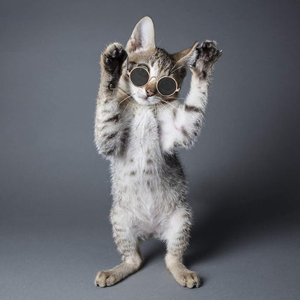 Legendog , 2pcs Fashion Cool Pet Sunglasses Adjustable Pet gold chain Set for Cats and Small Dogs