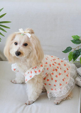 QWINEE Cute Flower Pattern Dog Dress Ruffle Trim Princess Dress Cat Vest Dress Lace Trim Summer Dress Pet Clothes for Small Medium Cats Dogs Kitten Puppy Pink L