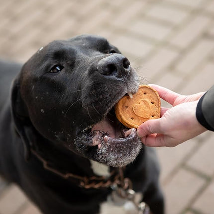 Blue Dog Bakery More Crunch Assorted Flavors, Dog Biscuits, Healthy Treats, All Natural, Bacon, Chicken, Cheese, Peanut Butter, 5 lb (Pack of 1)