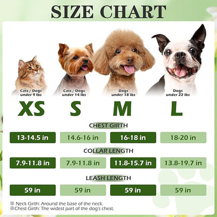 EXPAWLORER Small Dog Harness and Leash Set - Cute Puppy Harness Leash Dog Collar with AirTag Holder Silicone Case, Soft Padded Step in Pet Vest Reflective for Outdoor Walking, Pineapple S