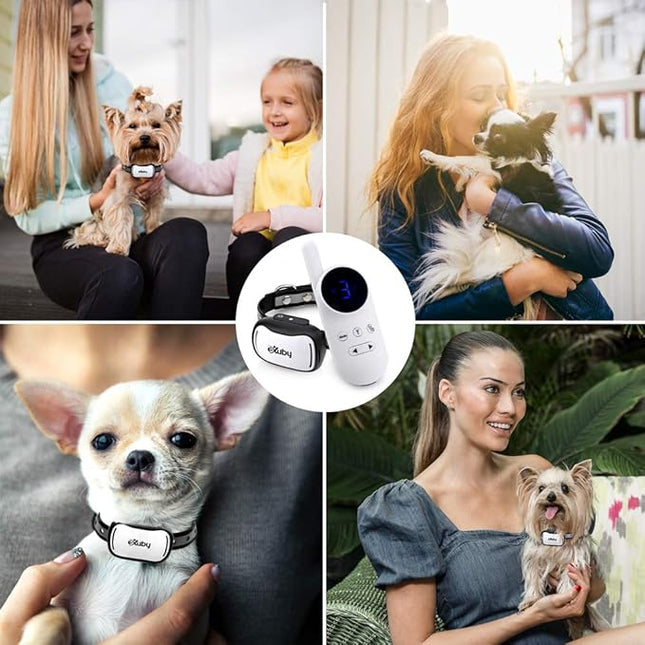 eXuby - Tiny Shock Collar for Small Dogs 5-15lbs - Smallest Collar on The Market - Sound, Vibration, & Shock - 9 Intensity Levels - Pocket-Size Remote - Long Battery Life - Water-Resistant - White