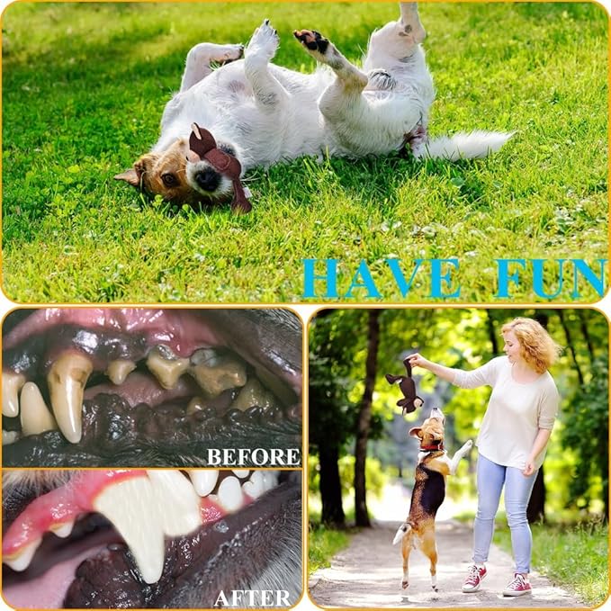 3-Layered Stuffed Dog Toys for Small Medium Dogs, Soft Plush Squeaky Dog Toys to Keep Them Busy for Small Medium Large Breed, Cute Animals Puppy Teething Chew Toys - Bear S