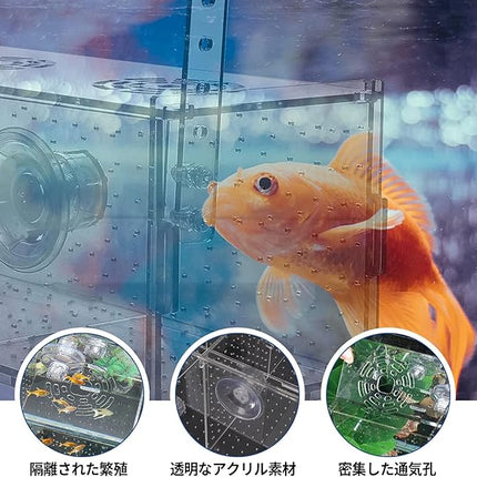 Fish Breeding Box, Acrylic Isolation Box Aquarium Hatchery Incubator with Suction Cups for Newborn Fry, Shrimp, Guppy, Clownfish, Aggressive Fish, 11.5" x 6" x 6"