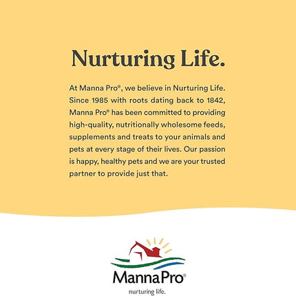 Manna Pro Bounce Back Supplement | Multi-Species Electrolyte | 4 oz