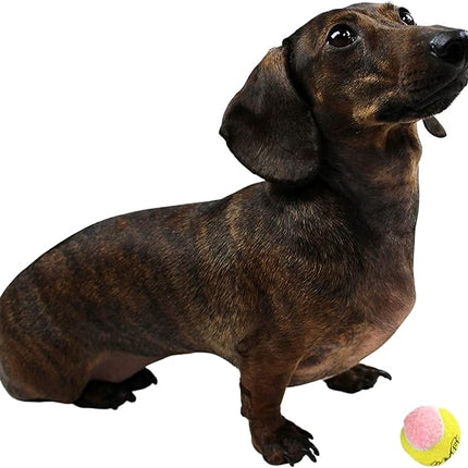 Midlee X-Small Dog Tennis Balls 1.5" Pack of 12- Puppy Mini Fetch Pet Little Tennis Balls -Yellow/Pink