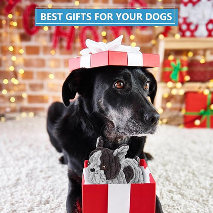 Dog Toys Plush Interactive Dog Toy with Crinkle Paper and Squeaker, Reduce Boredom and Anxiety, Cute Dog for Small Medium Large Dogs, Grey