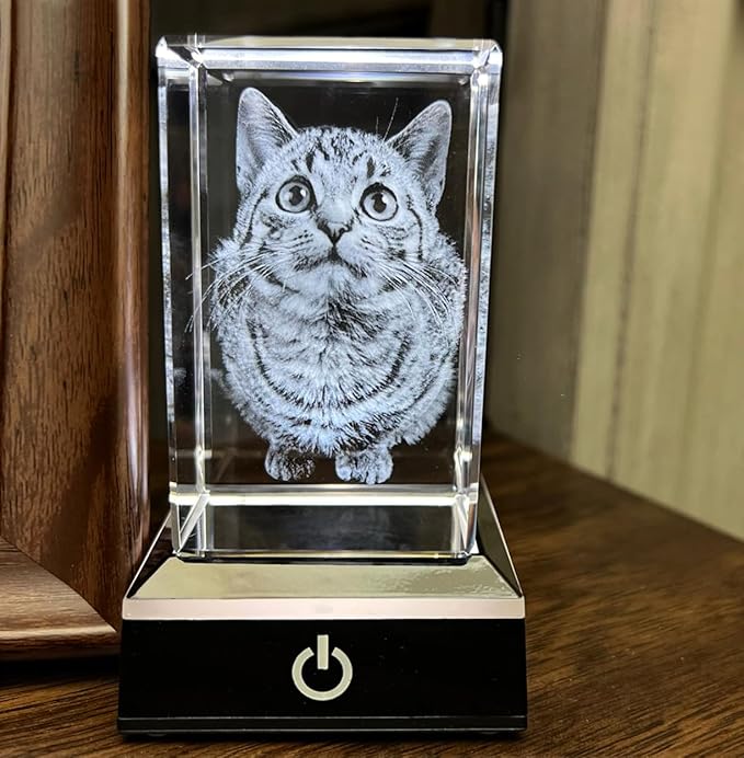 Personalized Dog, Cat Memorial Gifts for Pet Owners. Gift Box Included, Customized Laser Etched Crystal Photo (Large Portrait)