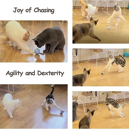 Migipaws Interactive Cat Ball Toy Set, Fun Tracker, Automatic Rolling Chase Ball with Fluffy Tail, A Small Mice, Rechargeable (Blue)