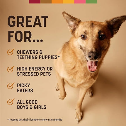 Earth Animal No Hide Chews - Long Lasting Rawhide Free Medium Dog Chews Rolls, Chicken - 2 Count