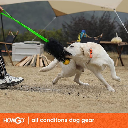 HOWGO Dog Rope Toy,Dog Bungee Chaser Toy 100% Sheepskin,Sheep Smell Tug Toy for All Breeds (Green, Short Without Ball)