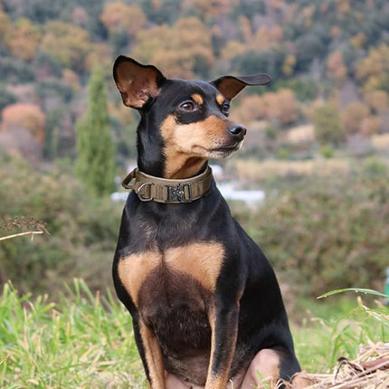 EXCELLENT ELITE SPANKER Tactical Dog Collar Nylon Adjustable Training Collar Military Dog Collar Heavy Duty Metal Buckle with Control Handle for Medium and Large Dogs with Patches(COB-XL)