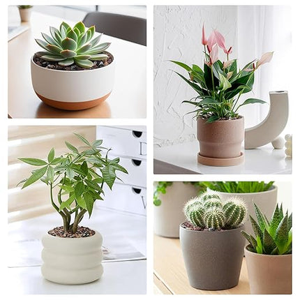 5lbs Mix Horticultural Lava Rocks for Plants, 1/5 Inch Potting Soil Amendment for Succulents, Cacti, Bonsai, Decorative Gravel Plant Drainage Volcanic for Terrarium, Top Dressing