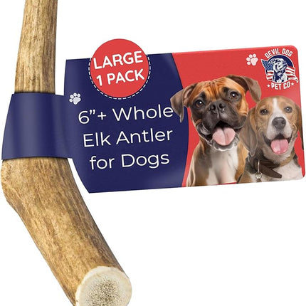 Devil Dog Pet Co. Elk Antlers for Dogs, Large 6"+, 1 Pack, Grade A Long Lasting Chew for Aggressive Chewers, Premium USA Naturally Shed Antler – Healthy, No Odor, Durable Dog Chew