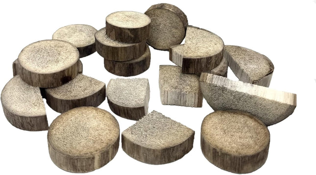 Bird Kabob Yucca Parrot Chips