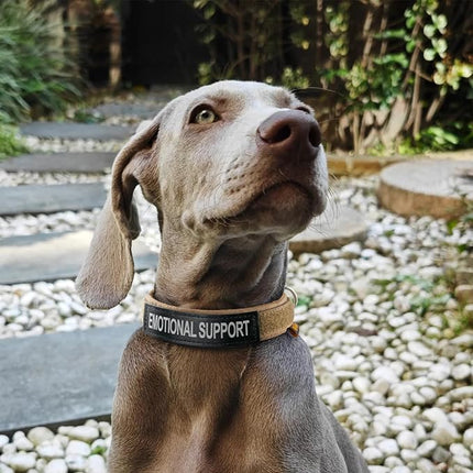 EXCELLENT ELITE SPANKER Nylon Puppy Dog Collar Adjustable Soft Padded Collar Heavy Duty Quick-Release Buckle Lightweight No-Choke for Small Medium Dogs(COB,S)