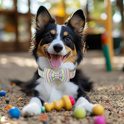 Easter Dog Collar with Bow Tie - Geometry Easter Bowtie Dog Collar Adjustable Heavy Duty Spring Easter Dog Collars for Small Medium Large Dogs M
