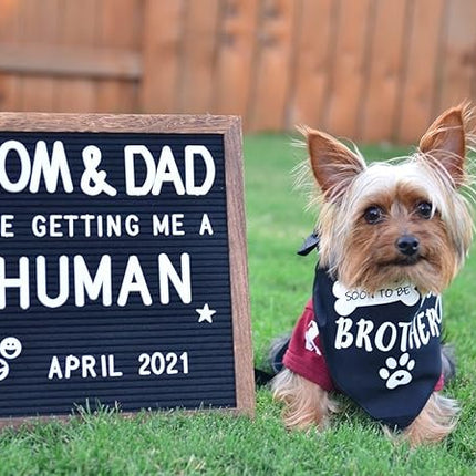 Big Brother Dog Bandana Reversible Triangle Bibs Pet Scarf