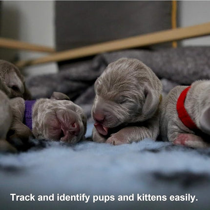 Luter 20Pcs Puppy ID Collars, Assorted Colors Whelping Collars Newborn Dog Kittens Band Adjustable Identification Collar for Pet