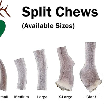 – X Large Split Single Pack (for 50+ lb Dogs) Premium Grade Elk Antler for Dogs (1 Piece) Sourced in The USA