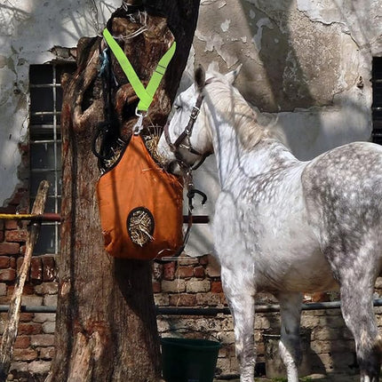 Rosemarie Horse Bucket Strap Hangers,Horse Suppliers Adjustable Nylon Straps up to 700 lbs for Hay Nets, Water Buckets,Hanging-Pratical and Easy Use(4 Pack) (Green)