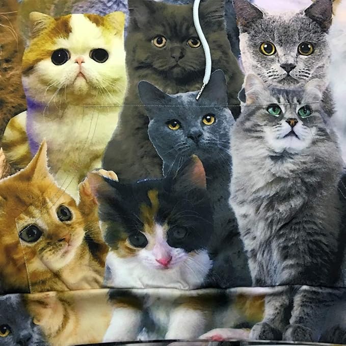 Yasswete Unisex Adults 3D Printed Fashion Hoodies for Men Women Pullover Novelty Sweatshirts with Big Pockets