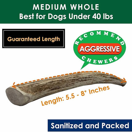 Elk Antler Dog Chews | Long-Lasting A-Grade Premium Elk Antler Chews for Dogs from Naturally Shed Elk Antlers Collected in The USA, Whole, Medium (Pack of 6)