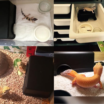 Hypeety Reptile Hide Box, Small Animal Hideaway, Hides with Texture Help Peeling, for Snakes, Lizards, Leopard Gecko (M)