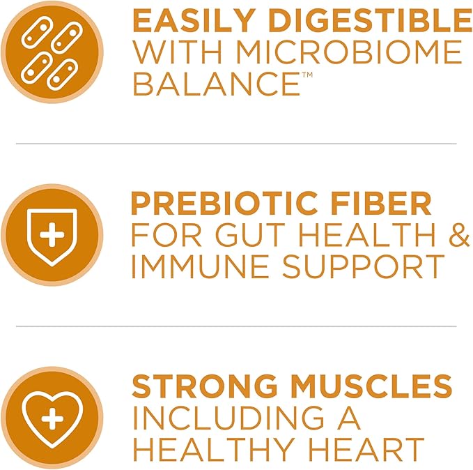 Purina ONE Chicken and Rice Formula Dry Dog Food - 31.1 lb. Bag