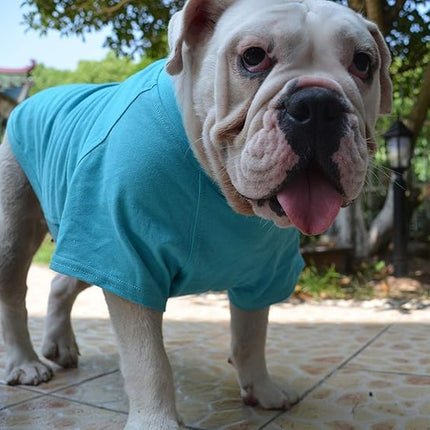 Lovelonglong Bulldog Clothes Dog Clothing Blank T-Shirt Tee Shirts for French Bulldog English Bulldog American Pit Bull Pugs 100% Cotton Skin Care Turquoise B-M