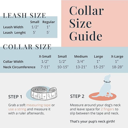 Lucky Love Dog, Tropical Matching Dog Collar & Leash Set, Soft & Comfy, Vivid Pink Color Collar and Leash for Female Male Dogs - (Small, Laguna Combo)