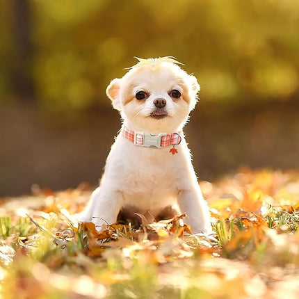 ARING PET Fall Dog Collars, Cute Orange White Plaid Halloween Autumn Pumpkin Maple Leaves Pet Collar with Quick Release Buckle for Small Medium Large Girl Boy Dogs-XS