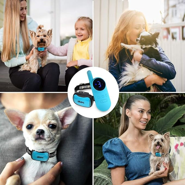 eXuby - Tiny Shock Collar for Small Dogs 5-15lbs - Smallest Collar on The Market - Sound, Vibration, & Shock - 9 Intensity Levels - Pocket-Size Remote - Long Battery Life - Water-Resistant (Teal)