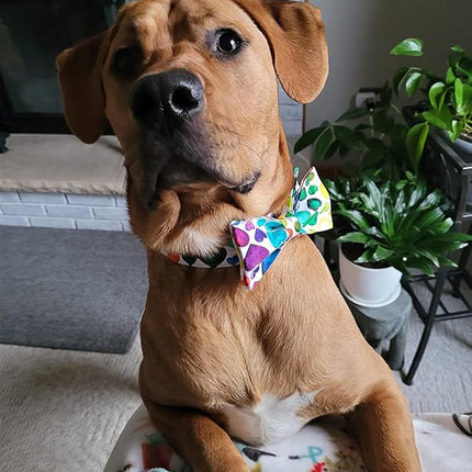 Lionet Paws Valentine's Day Dog Collar with Bowtie, Soft and Comfortable, Adjustable Collar for Medium Dogs, Neck 13.5-22 inches