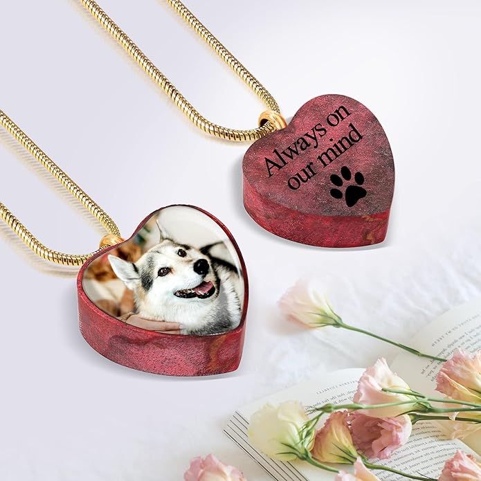 Farfume Personalized Pet Urn Necklace for Dog Cat Ashes Cremation Pet Memorial Customized Photo Text Engraving Pendant Keepsake Funeral Jewelry