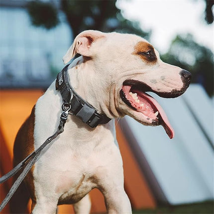 EXCELLENT ELITE SPANKER Tactical Small Puppy Dog Collar Nylon Adjustable Heavy Duty Military for Small Medium and Large Dogs Pet Soft Padded Dog Collar(Gry-M)