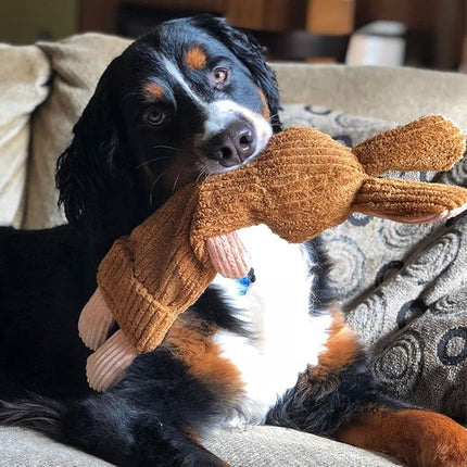 SmartPetLove Snuggle Puppy Tender-Tuffs Whisper Rabbit Crinkle Dog Toy, Water Bottle Cover Dog Toy for Small Dogs, Durable, TearBlok, Quiet, Interactive Dog Chew Toy