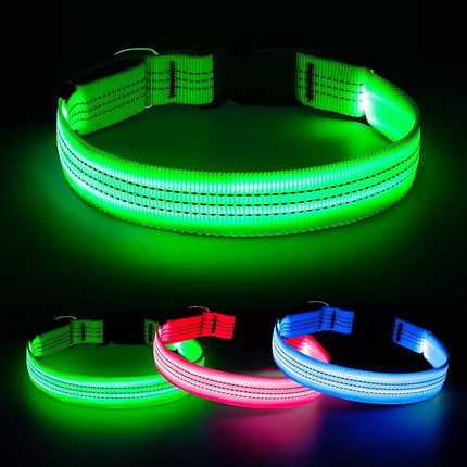 Light Up Dog Collar - Reflective LED Pet Collar Rechargeable Water-Resistant Adjustable Doggie Necklace Glowing Dog Lights for Night Walking (Blue, Large)