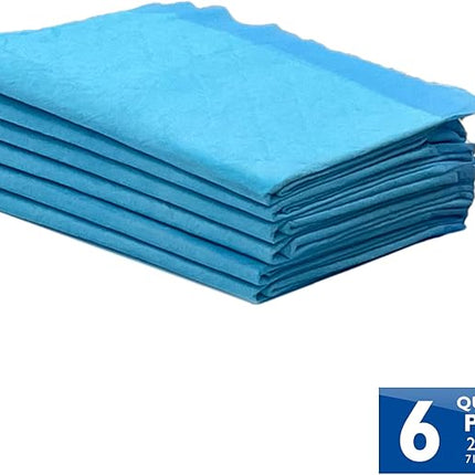 Four Paws Wee-Wee Superior Performance Pee Pads for Dogs with Runoff Barrier Edge Guard Protection, Puppy & Dog Potty Training Pads, Housebreaking Supplies, 28" x 34" (6 Count)