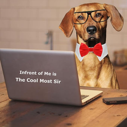 Dog Bowtie, KOOLMOX Dog Bow Tie Handcrafted Adjustable Formal Pet Red Bowtie Collar Neck Bow for Dogs Medium to Large Boy Tuxedo Collar Pet Wedding Birthday Gift